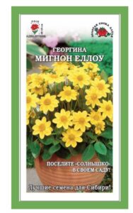 Георгина Мигнон Еллоу