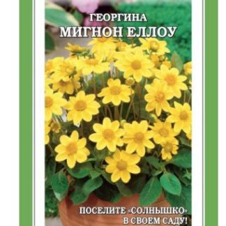 Георгина Мигнон Еллоу