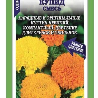 Бархатцы Купид смесь