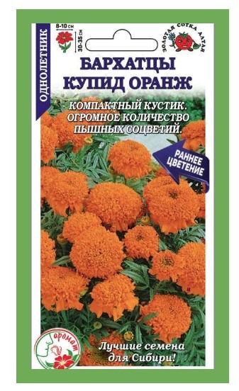 Бархатцы Купид Оранж