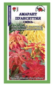 Амарант Пуансеттия трехцветный