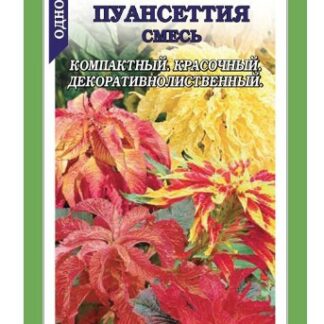 Амарант Пуансеттия трехцветный