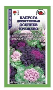 Капуста декоративная Осеннее Кружево
