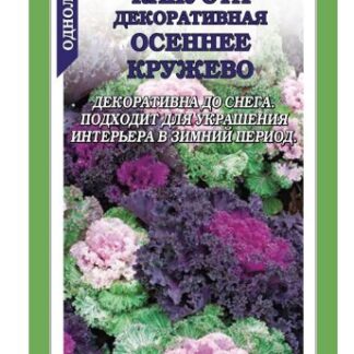 Капуста декоративная Осеннее Кружево