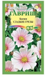 Космея Сладкие Грезы