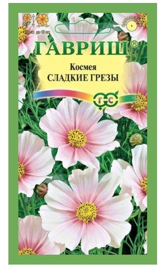 Космея Сладкие Грезы