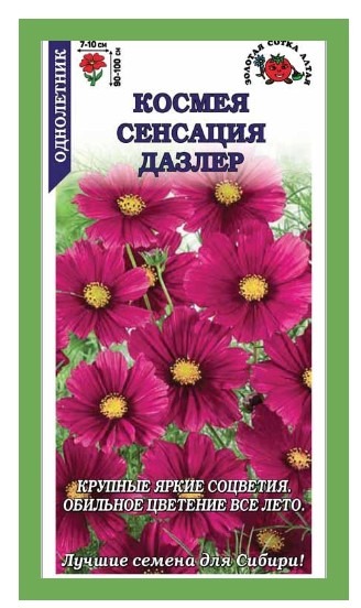 Космея Сенсация Дазлер