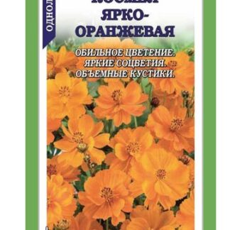 Космея Ярко-оранжевая