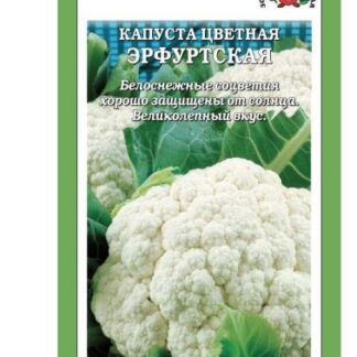 Капуста цветная Эрфуртская