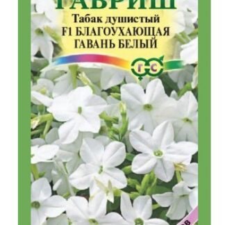 Табак Благоухающая Гавань белая F1