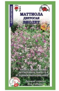 Маттиола Виолет