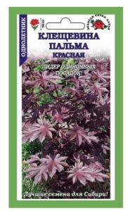 Клещевина Пальма красная