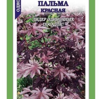 Клещевина Пальма красная