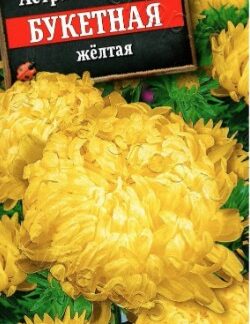 Астра Букетная желтая