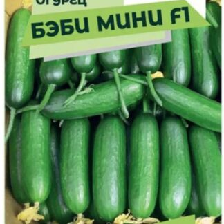 Огурец Бэби Мини F1