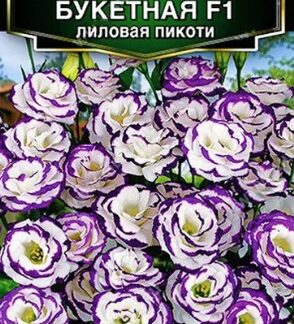 Эустома Юбилейная букетная F1 махровая лиловая пикоти