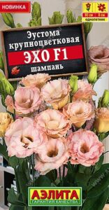 Эустома Эхо F1 шампань крупноцветковая