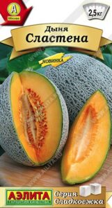 Дыня Сластена