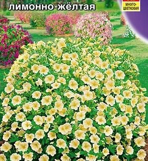 Петуния Джоконда F1 лимонно-желтая