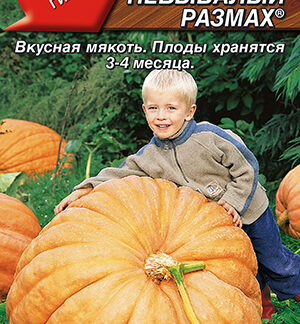 Тыква крупноплодная Небывалый размах 2г