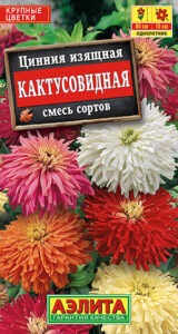 Цинния Кактусовидная, смесь сортов