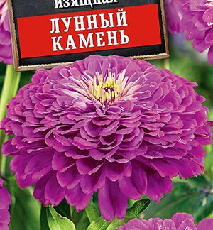 Цинния Лунный камень