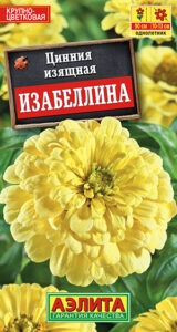 Цинния Изабеллина георгиновидная