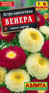 Астра Венера, смесь окрасок