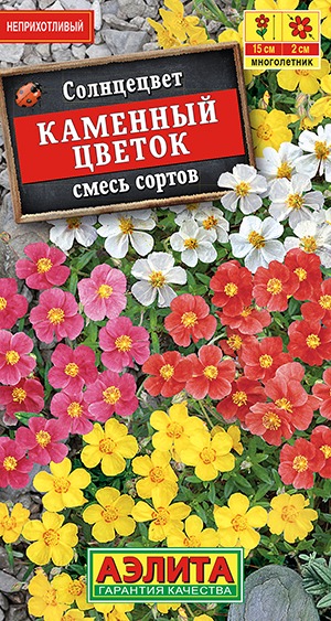Солнцецвет Каменный цветок, смесь сортов