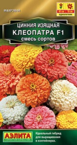 Цинния Клеопатра F1, смесь сортов
