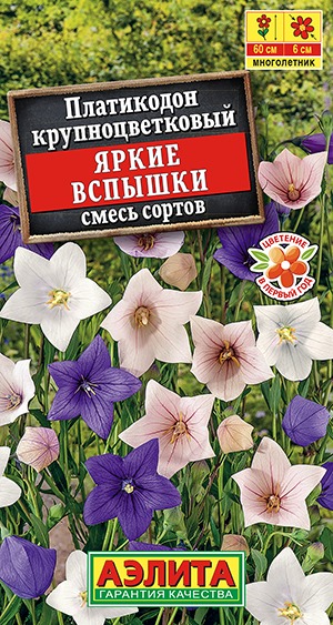 Платикодон Яркие вспышки, смесь сортов