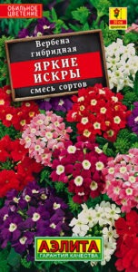 Вербена Яркие искры, смесь сортов