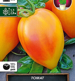 Томат Похвала Марины