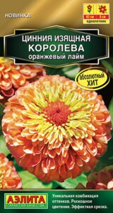 Цинния Королева оранжевый лайм