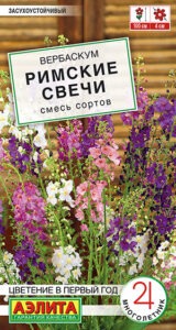 Вербаскум Римские свечи, смесь сортов