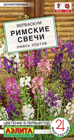 Вербаскум Римские свечи, смесь сортов