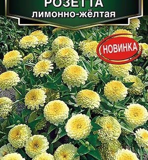 Цинния Розетта лимонно-желтая