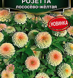 Цинния Розетта лососево-желтая