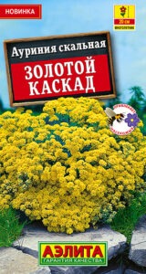 Ауриния скальная Золотой каскад