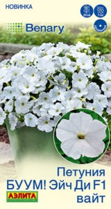 Петуния БУУМ! Эйч Ди F1 Вайт многоцветковая