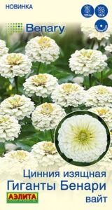 Цинния Гиганты Бенари вайт