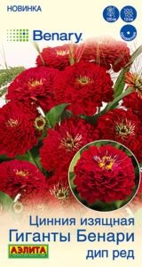 Цинния Гиганты Бенари дип ред