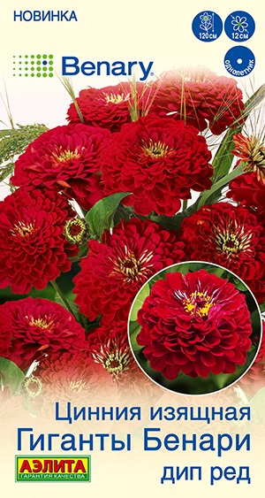 Цинния Гиганты Бенари дип ред