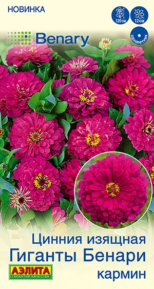 Цинния Гиганты Бенари кармин