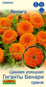 Цинния Гиганты Бенари оранж