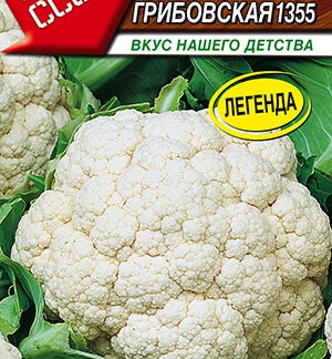 Капуста цветная Ранняя Грибовская 1355