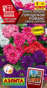 Вербена гибридная Городской романс, смесь сортов