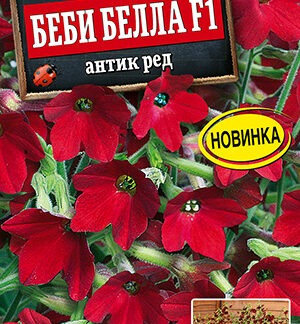 Табак сандера Беби Белла F1 антик ред