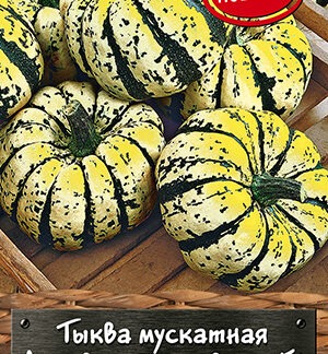 Тыква мускатная Ленивая красавица F1
