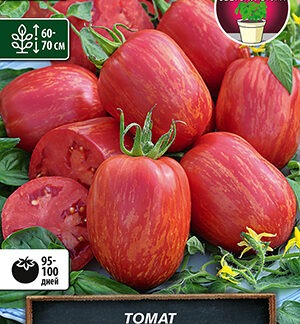 Томат Дон Жуан